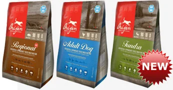 orijen freeze dried adult dog food