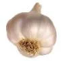 garlic.jpg
