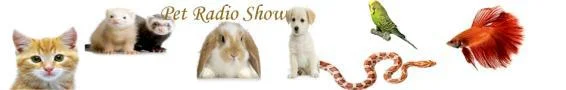 pet radio show header.jpg