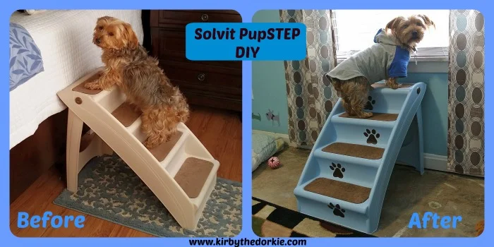 solvit pupstep plus