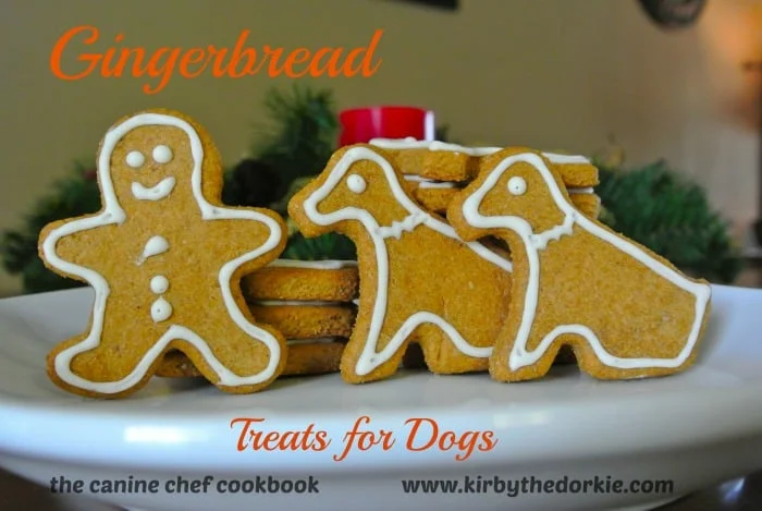 ginger biscuits for dogs