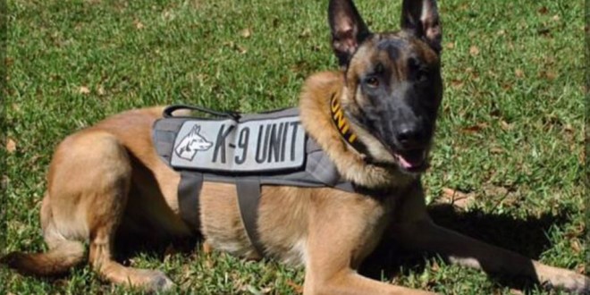 photo credit: Smith County Police Dept