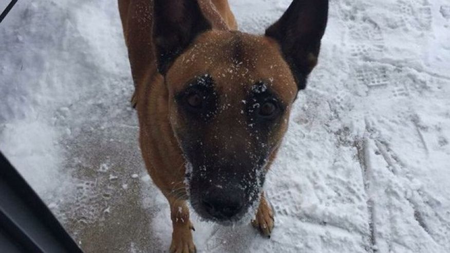 photo credit: Omaha Police Dept