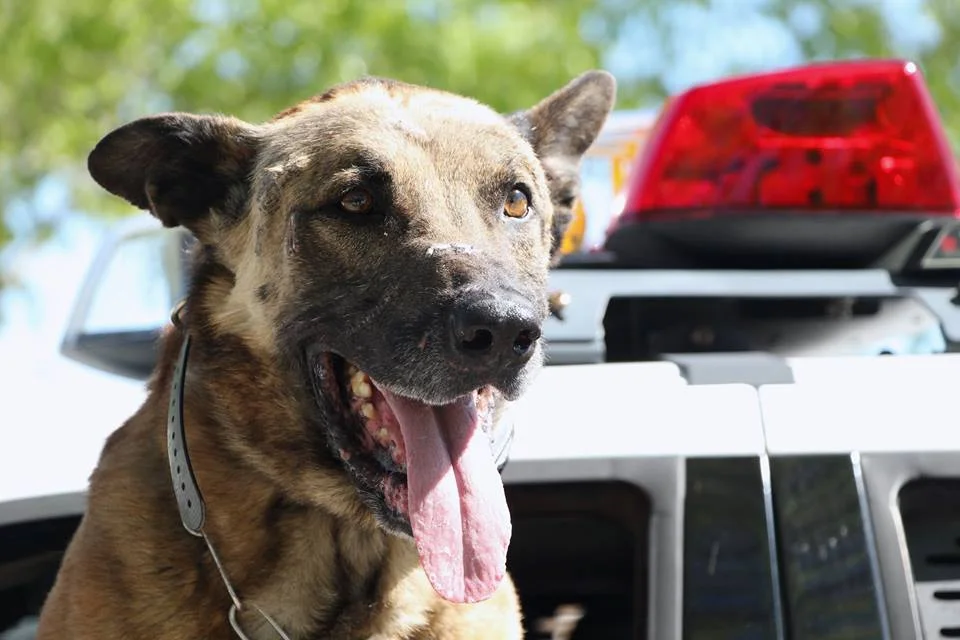 Photo credit: Las Vegas Metropolitan Police Department
