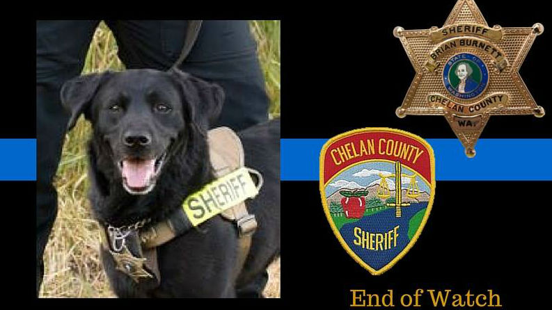 photo credit: Chelan County Sheriff's Office