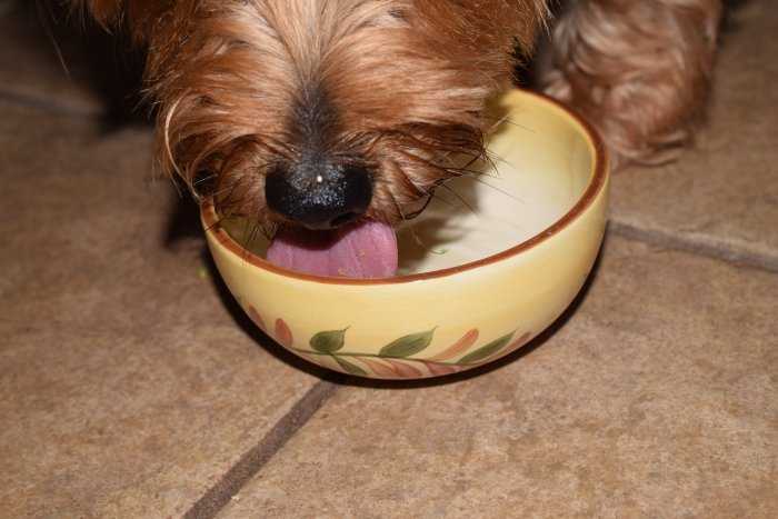 Licking the bowl clean