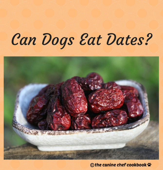 dehydrated fruit for dogs