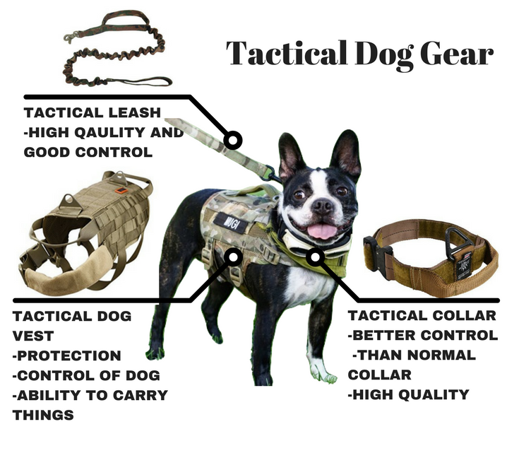 Tactical Dog Gear — The Canine Chef 