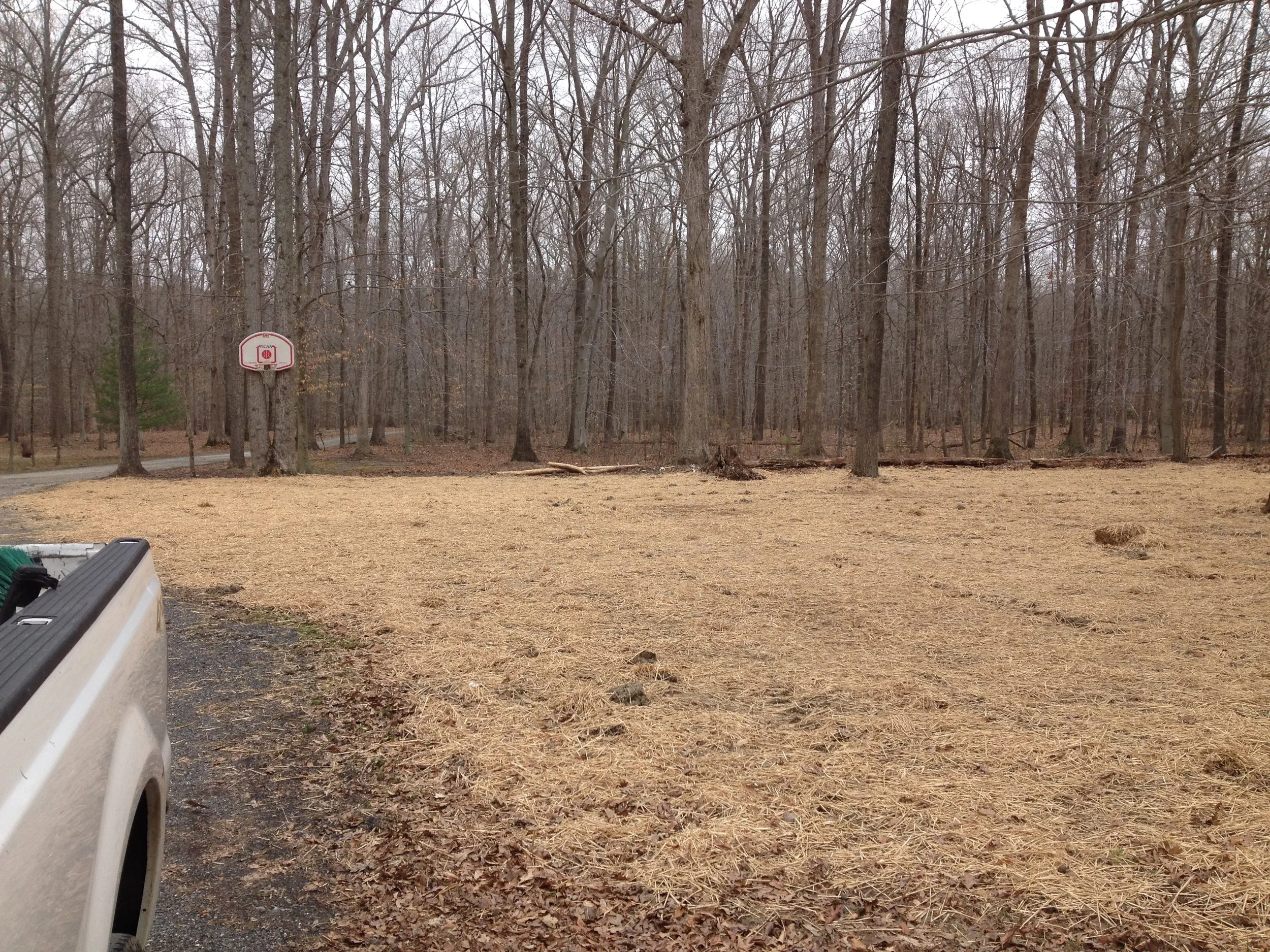 Final grading in wooded area | Shore Quality Contracting, LLC