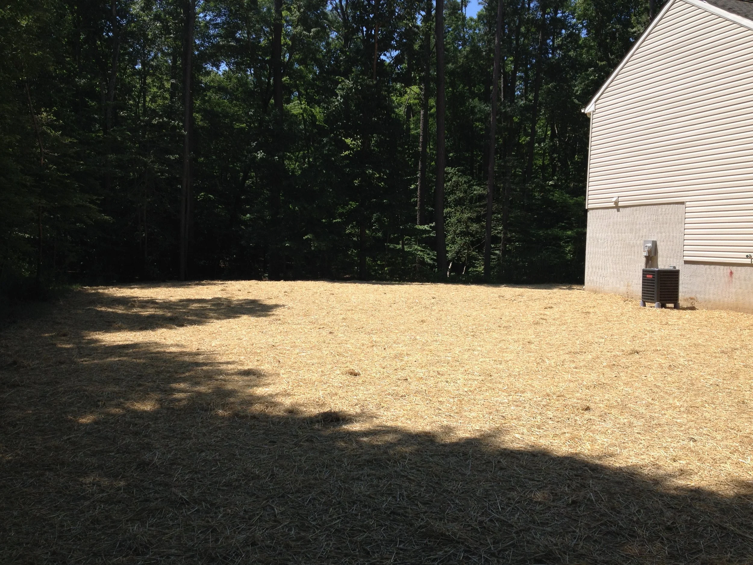 Side view of final graded yard | Shore Quality Contracting, LLC