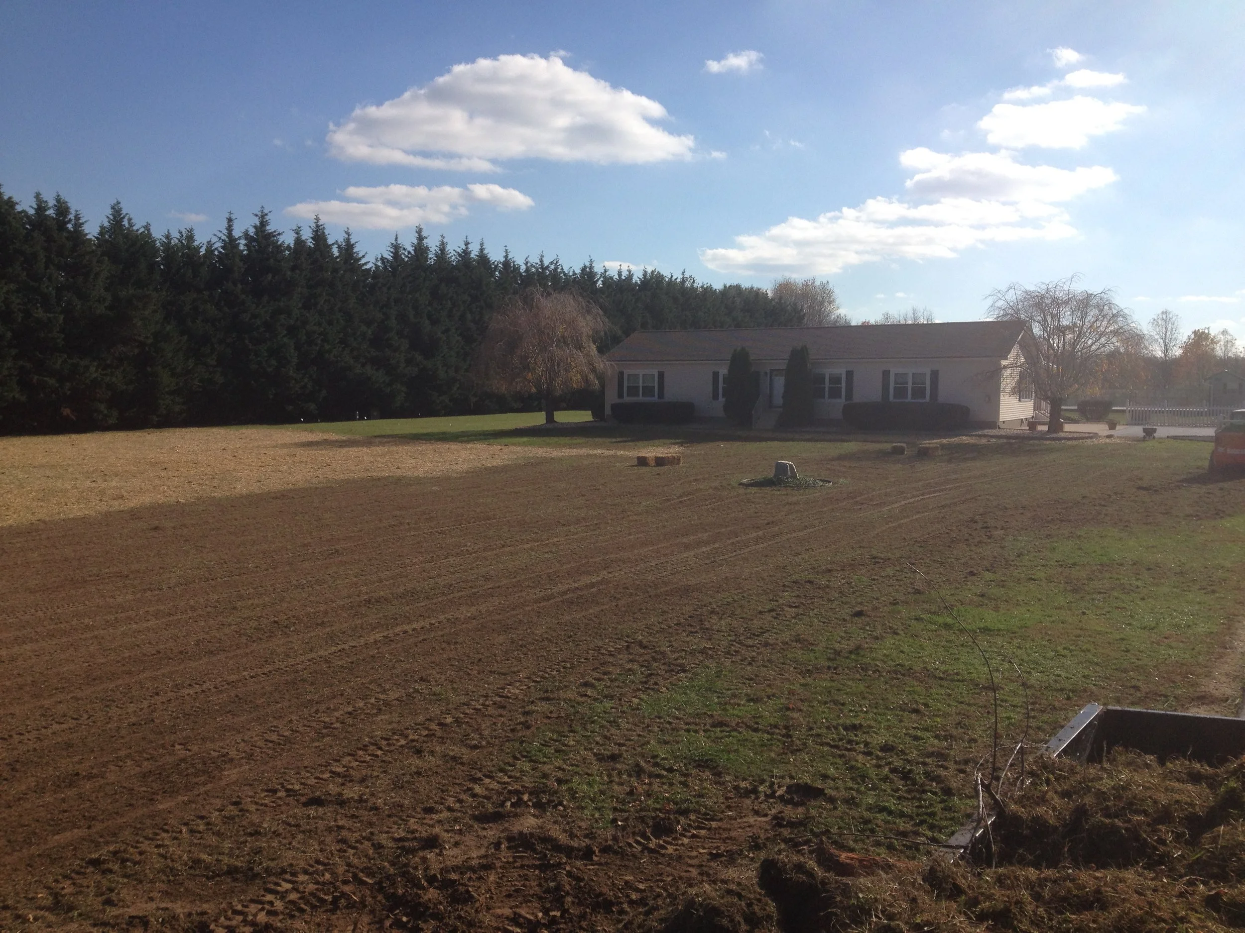 Final grading and stump removal | Shore Quality Contracting, LLC