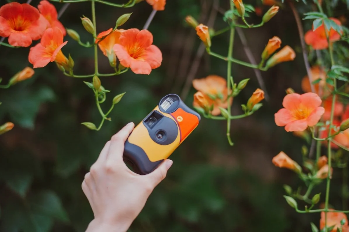 When Can I get my Disposable Cameras Developed?