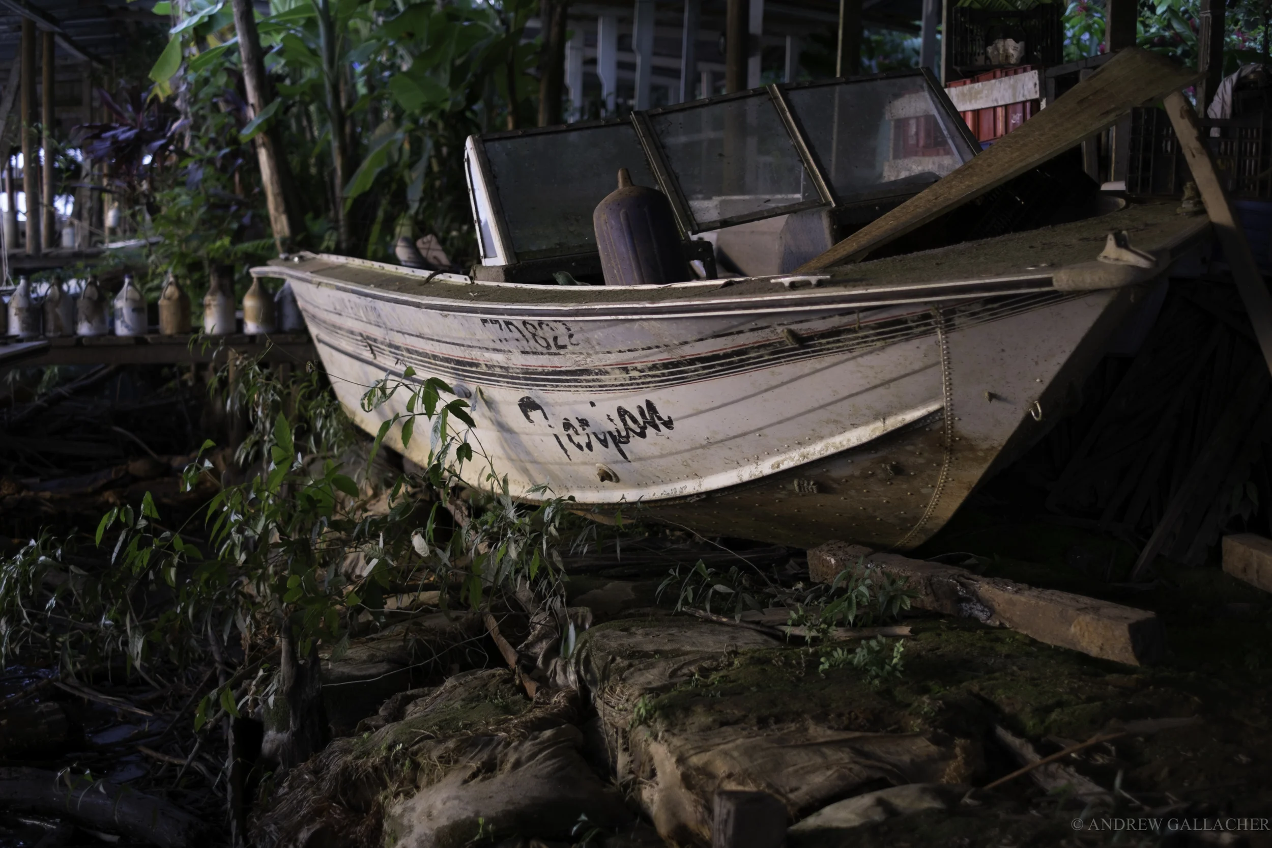 costa rica-1-6.jpg