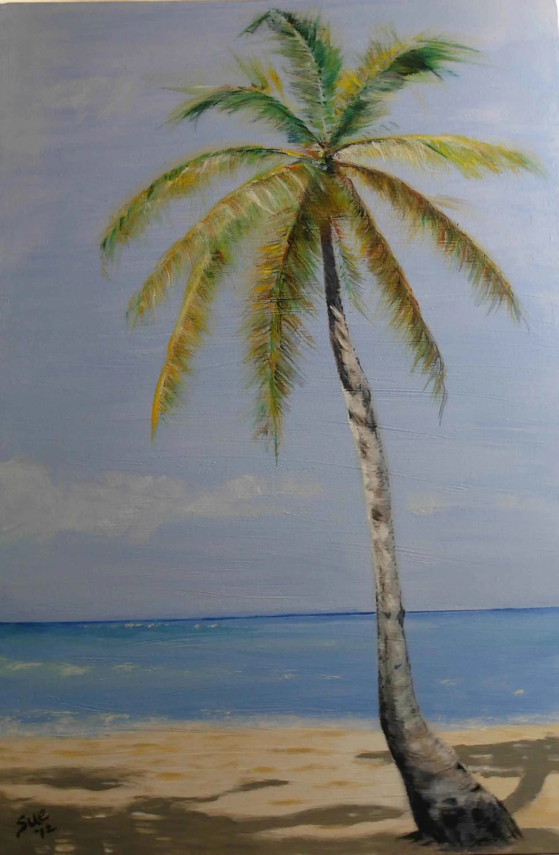 Coconut Palm