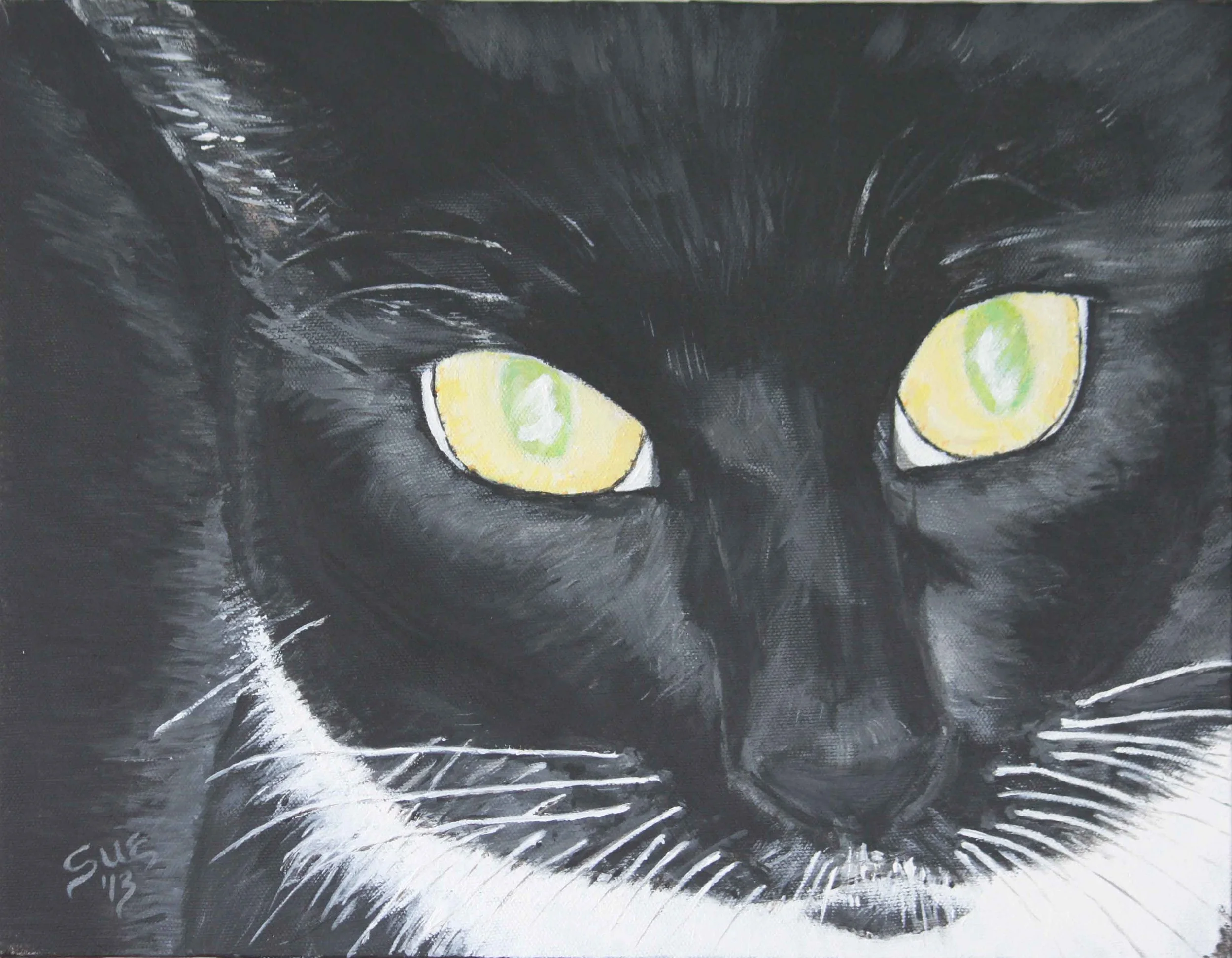 Kitty