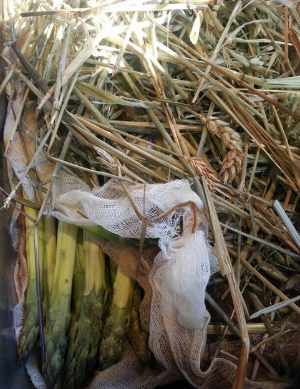 Pictured: Asparagus smoked in straw | Photo Credit: Michael Voltaggio//Twitter