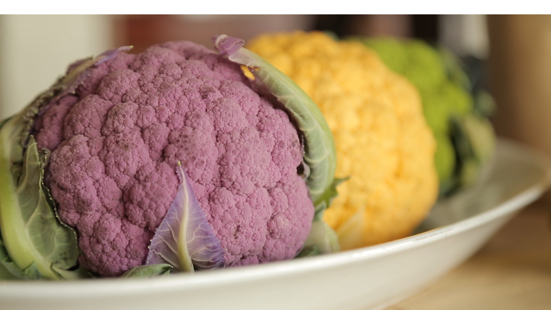 Foodable WebTV Network