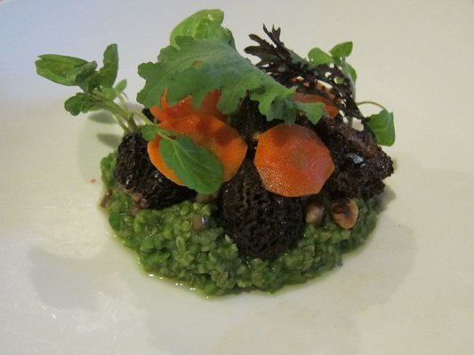 Morrel Mushrooms, Fava Bean and Nettle Porridge, Fermented Carrot, Black Walnut, Pickled Carrot at Commonweath | YELP, Michael U. 