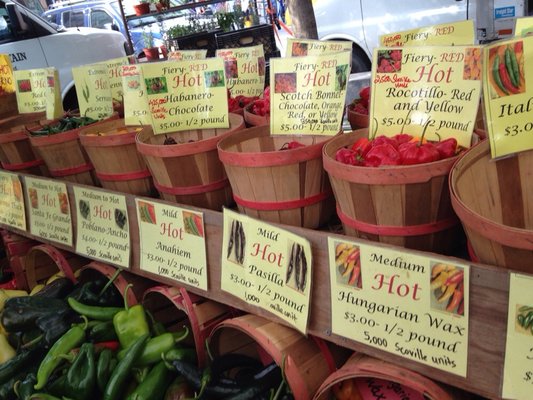 Pepper selection at Union Square Greenmarket | YELP, Jennifer Z. 