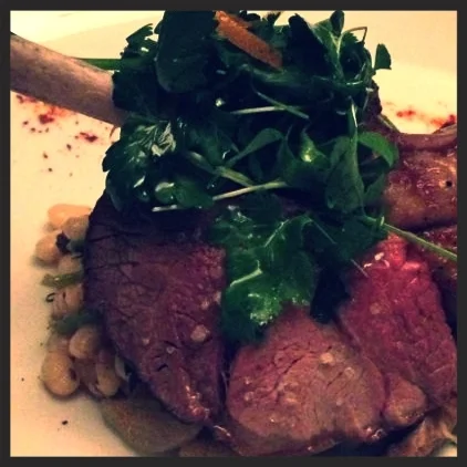 Hearth roasted lamb, white bean, dried apricot, yogurt at Levant | Yelp, Lee B.