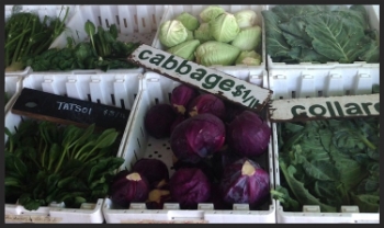 Green String Farm's Produce Stand | Foodable WebTV Network