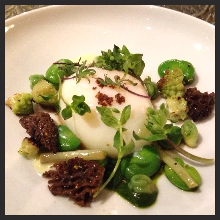 Sous vide egg, morel mushrooms, beans, microgreens at Journeyman | Yelp, Carol L.
