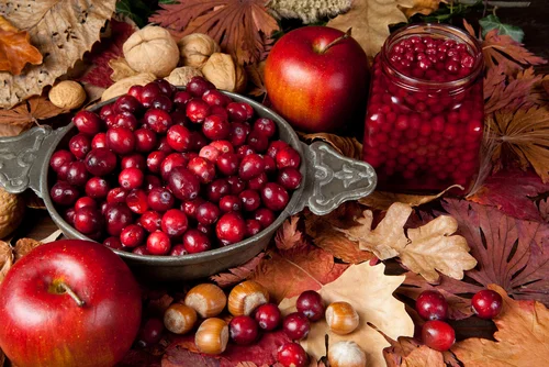 fall flavors cranberries apples leaves.jpg