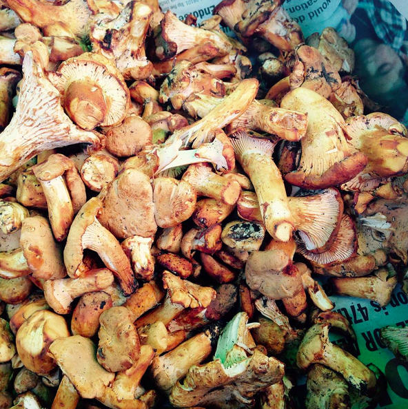 Chanterelles at Ballard Farmers Market | Instagram, @sfmamarkets