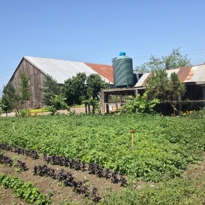 Local Seattle Farm | Foodable WebTV Network