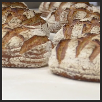 Spent grain sourdough fresh out of the oven