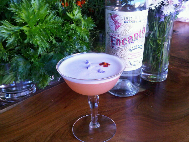 Encanto Sour | Photo Courtesy of Encanto Pisco