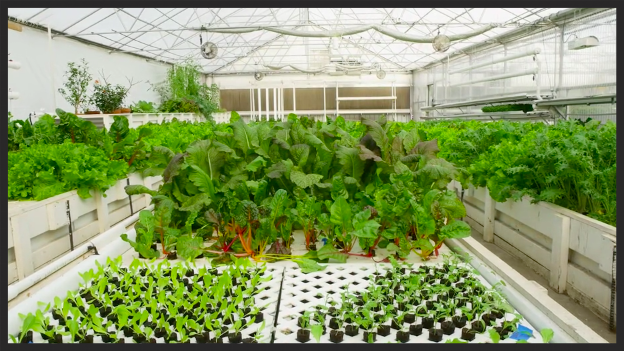 Flourish Farms