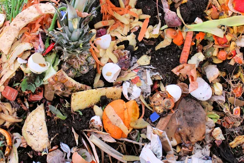 food waste.jpg