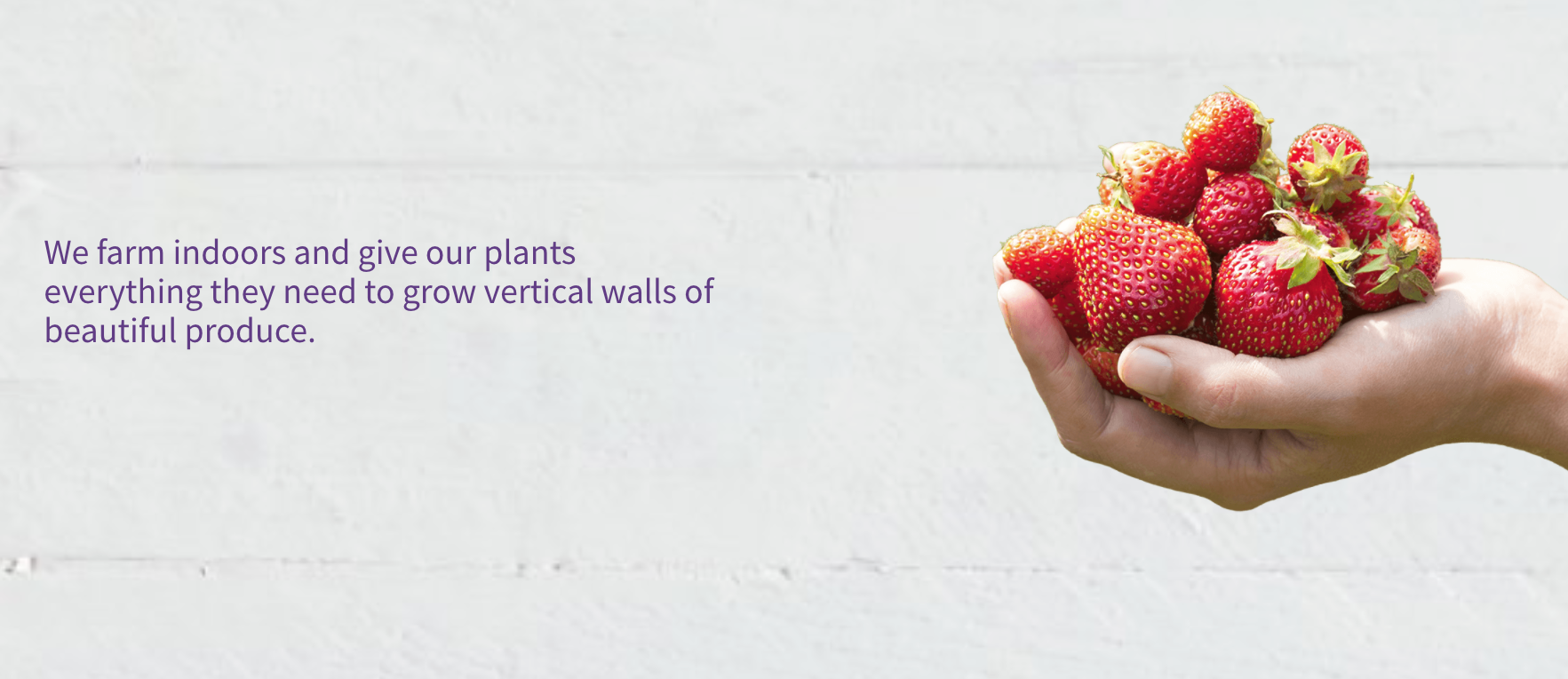 Source: www.plenty.ag