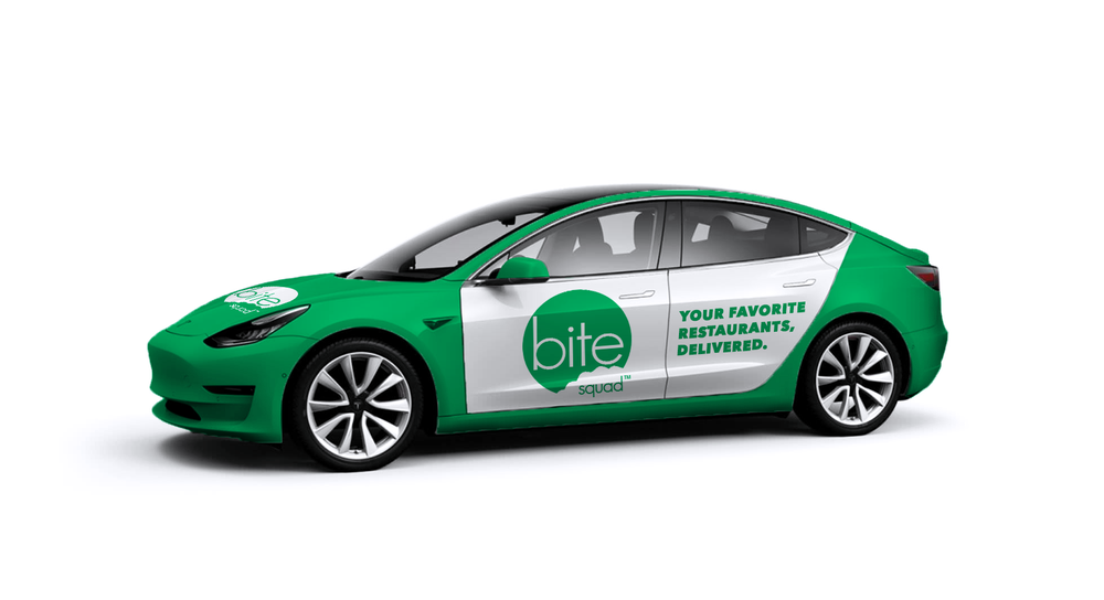 bitesquadtesla.png