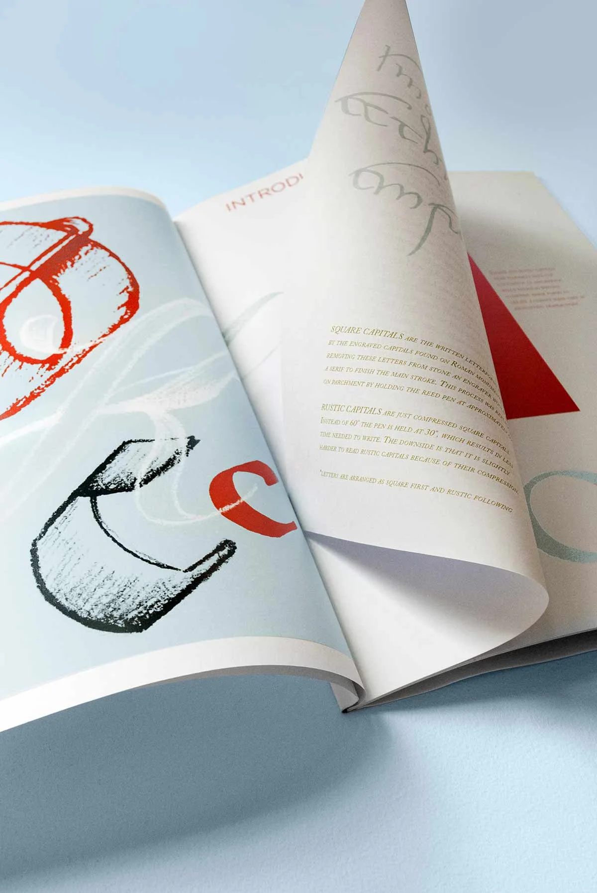 danielle_will_design-doyald-young-handlettering-book5.jpg