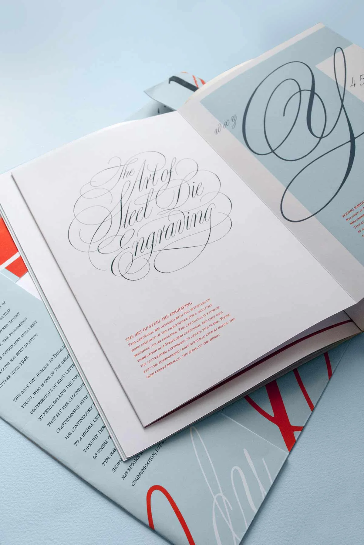 danielle_will_design-doyald-young-handlettering-book4.jpg