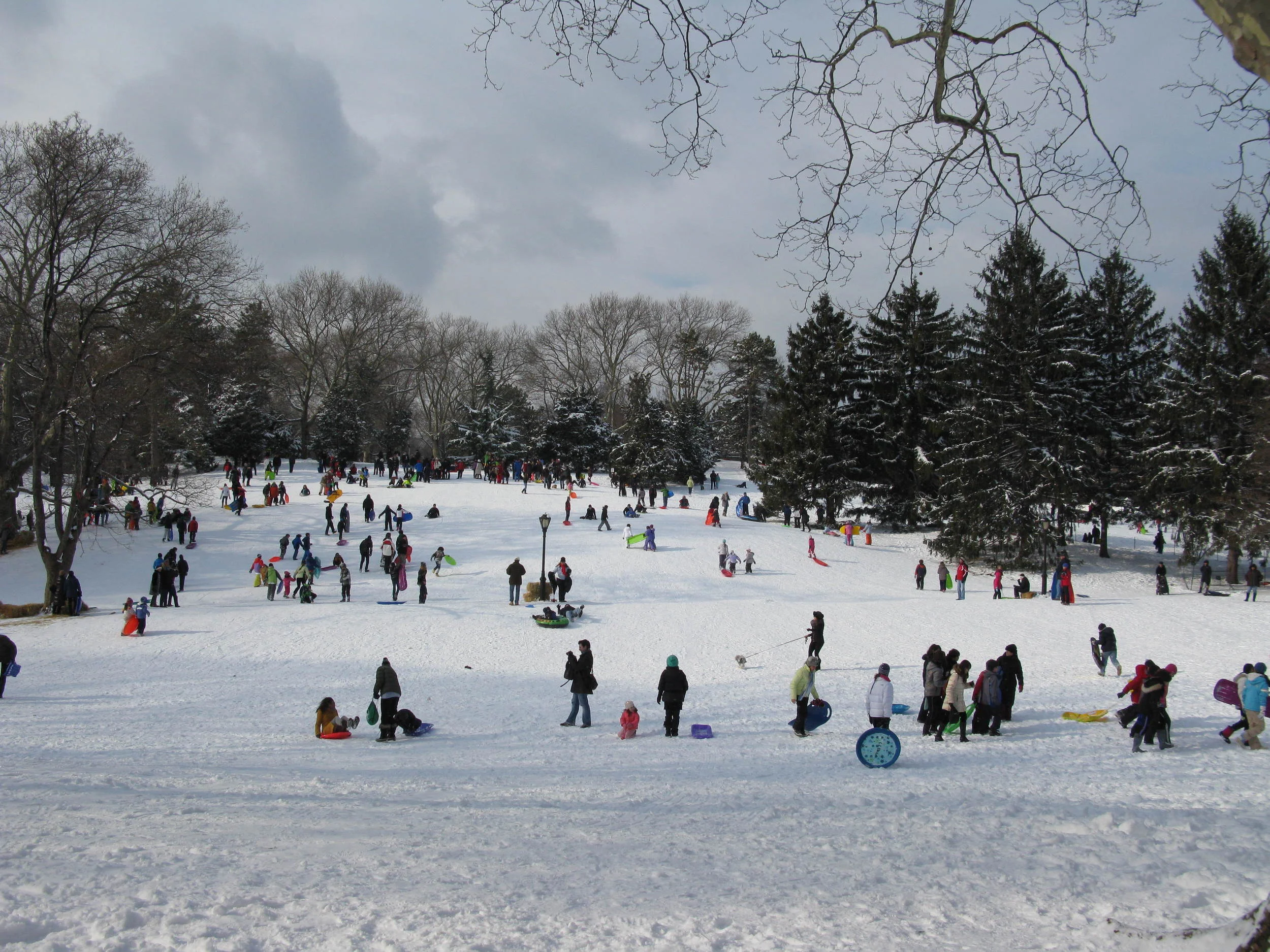 Central Park in the snow, New York