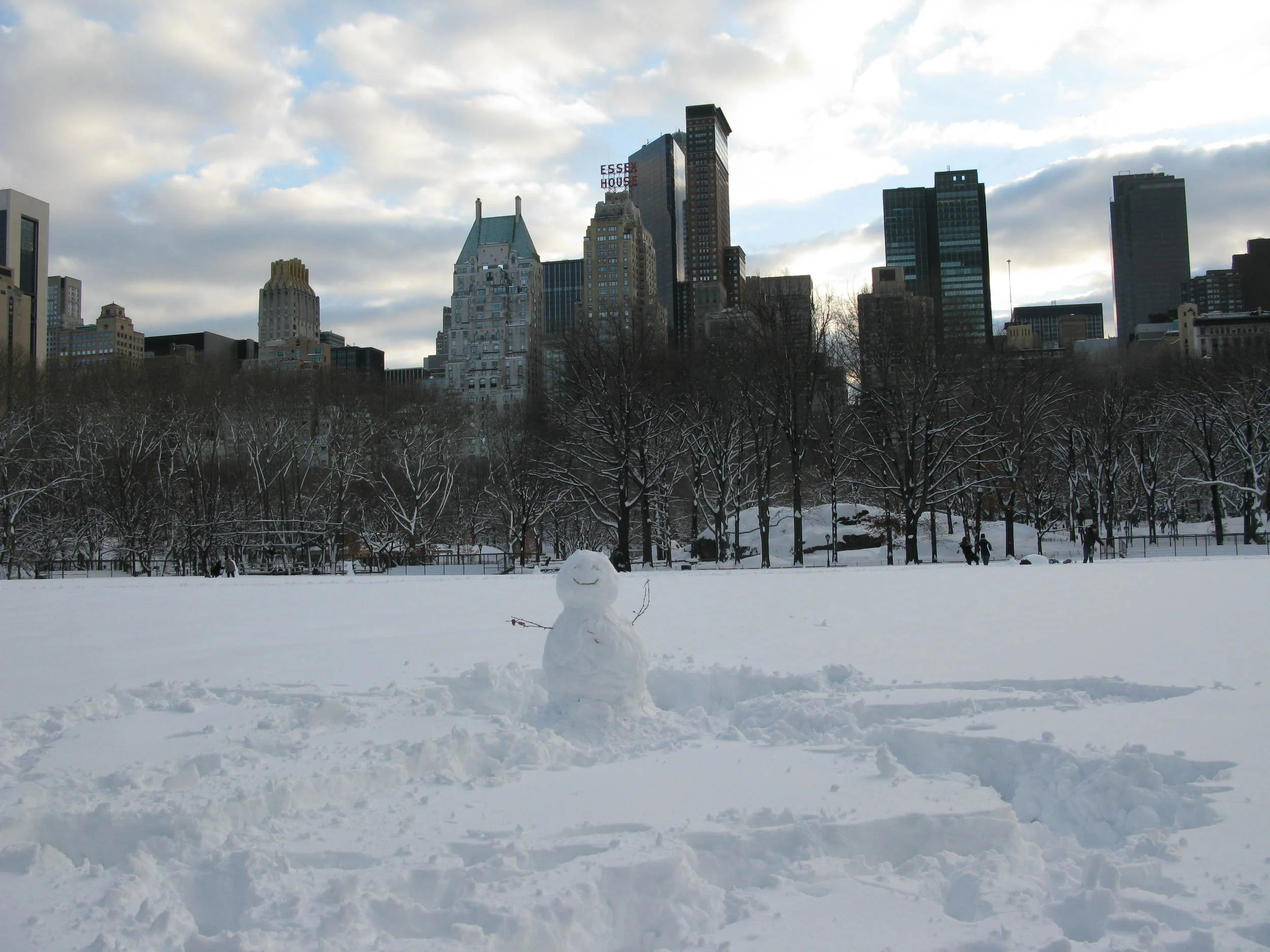 Central Park in the snow, New York