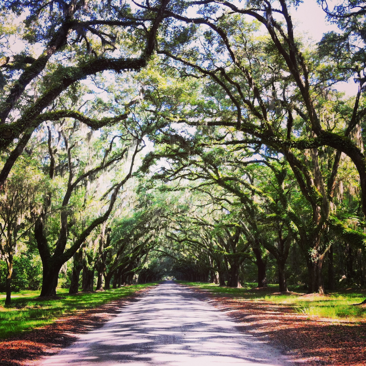 Wormsloe Plantation, Savannah, Georgia