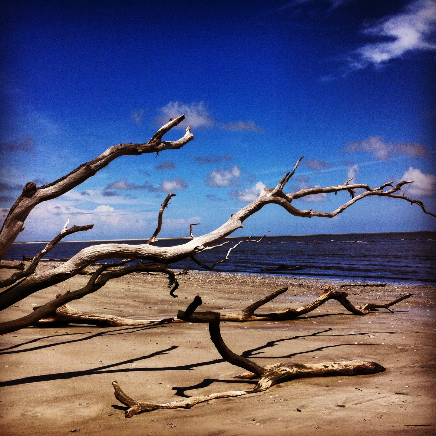 St. Catherine's Island, Georgia