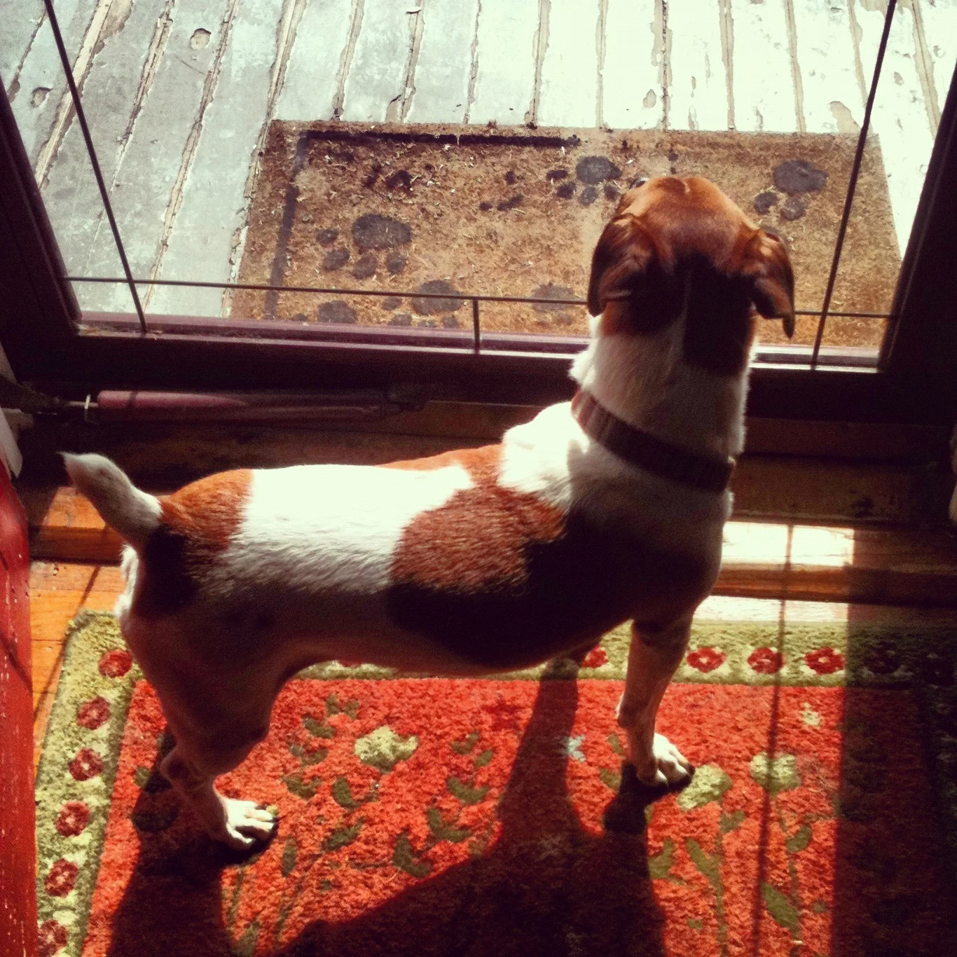 Scooter at the Door