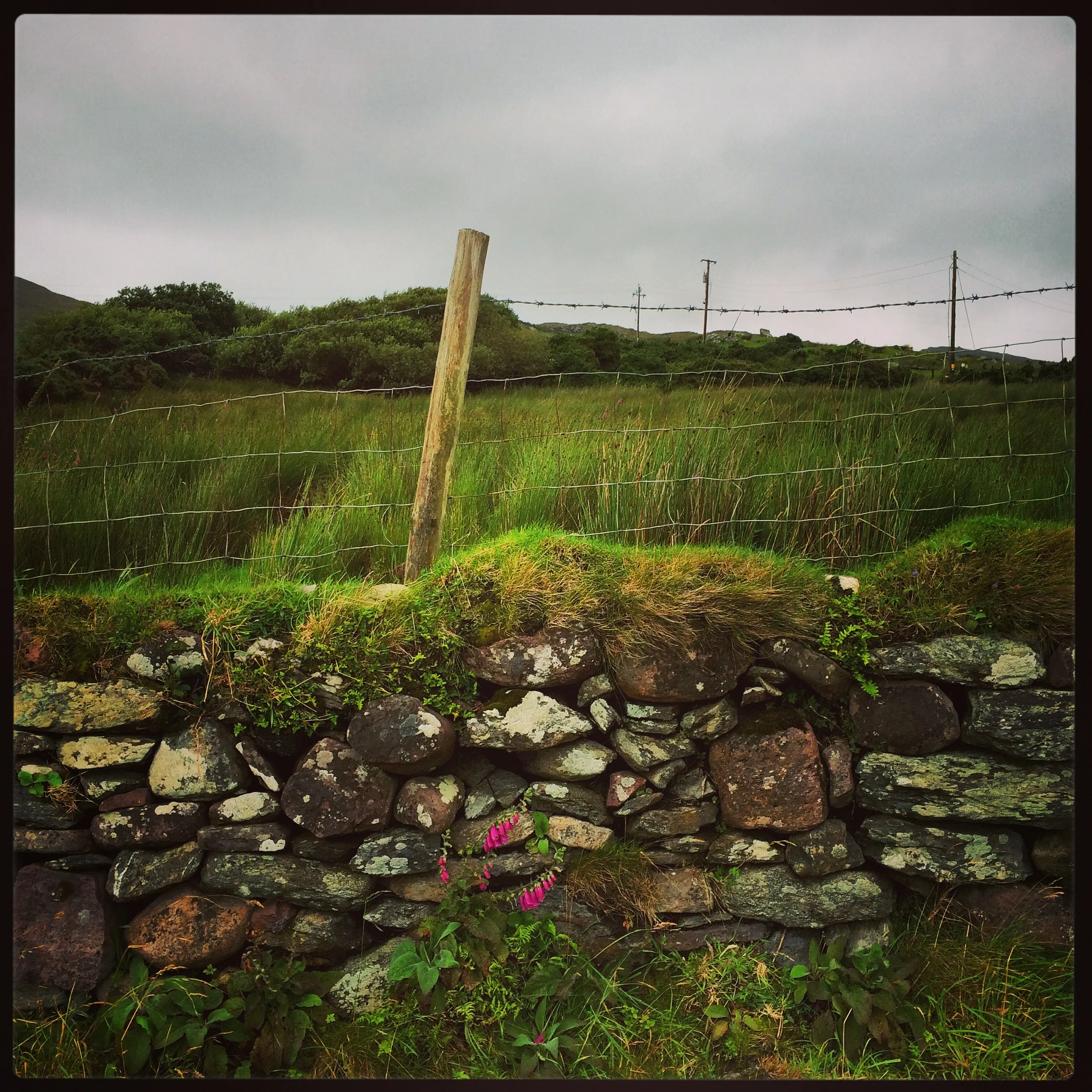 Ireland