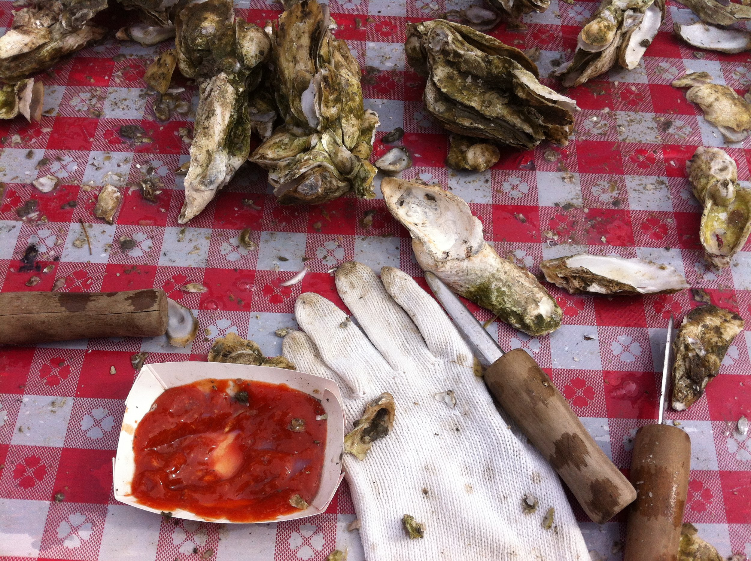 Backyard oyster roast