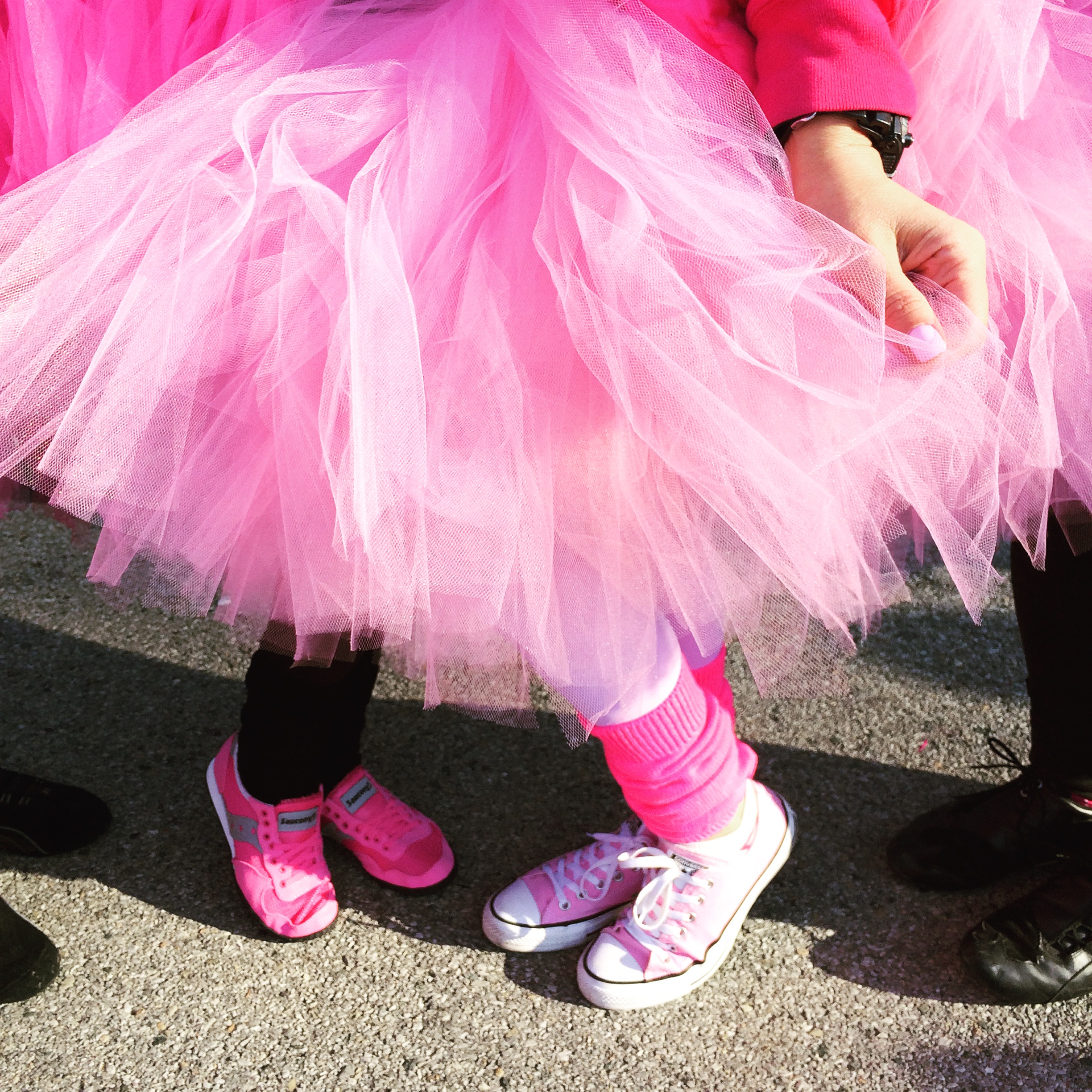 American Cancer Society breast cancer walk, Bronx