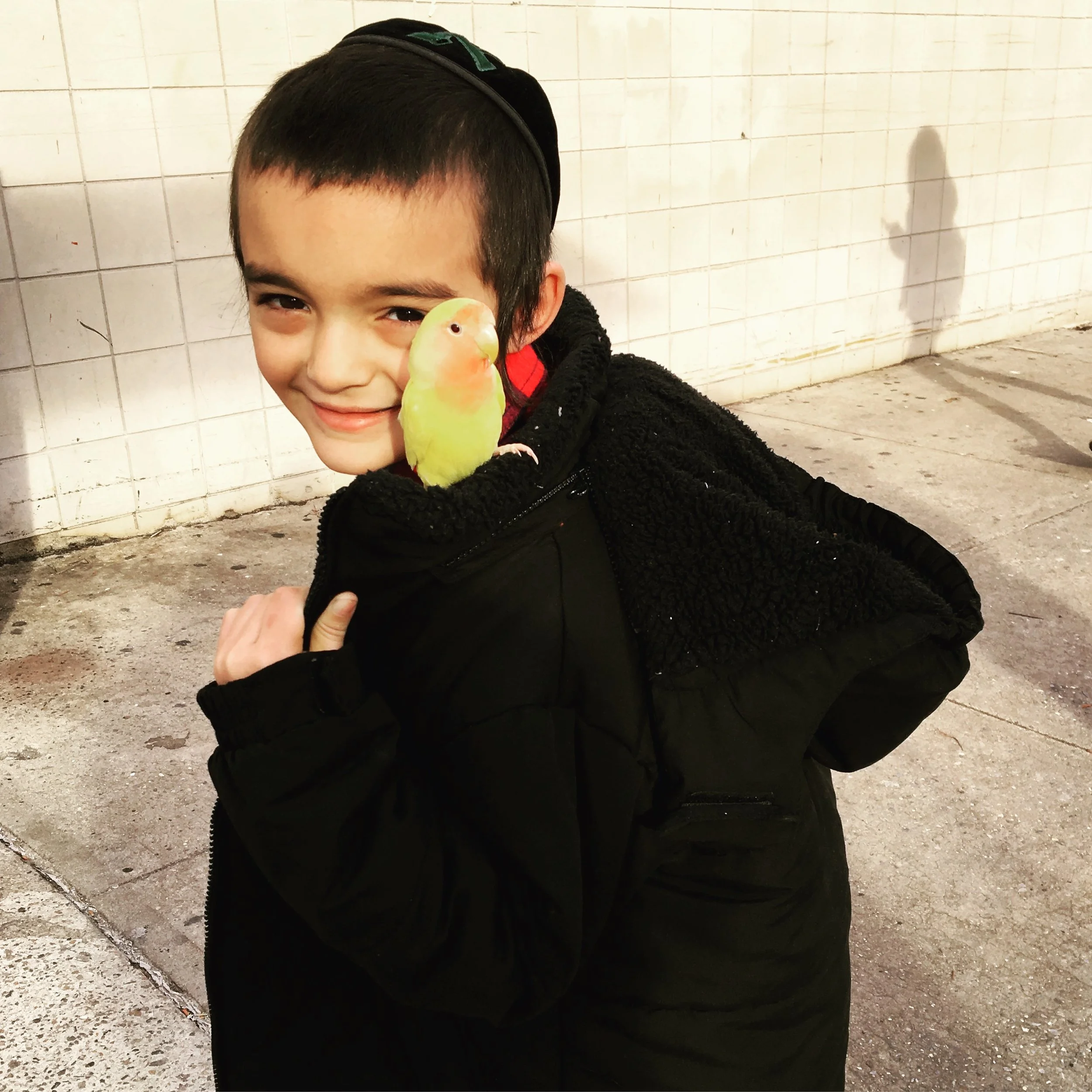 Little boy and his bird, Lower East Side