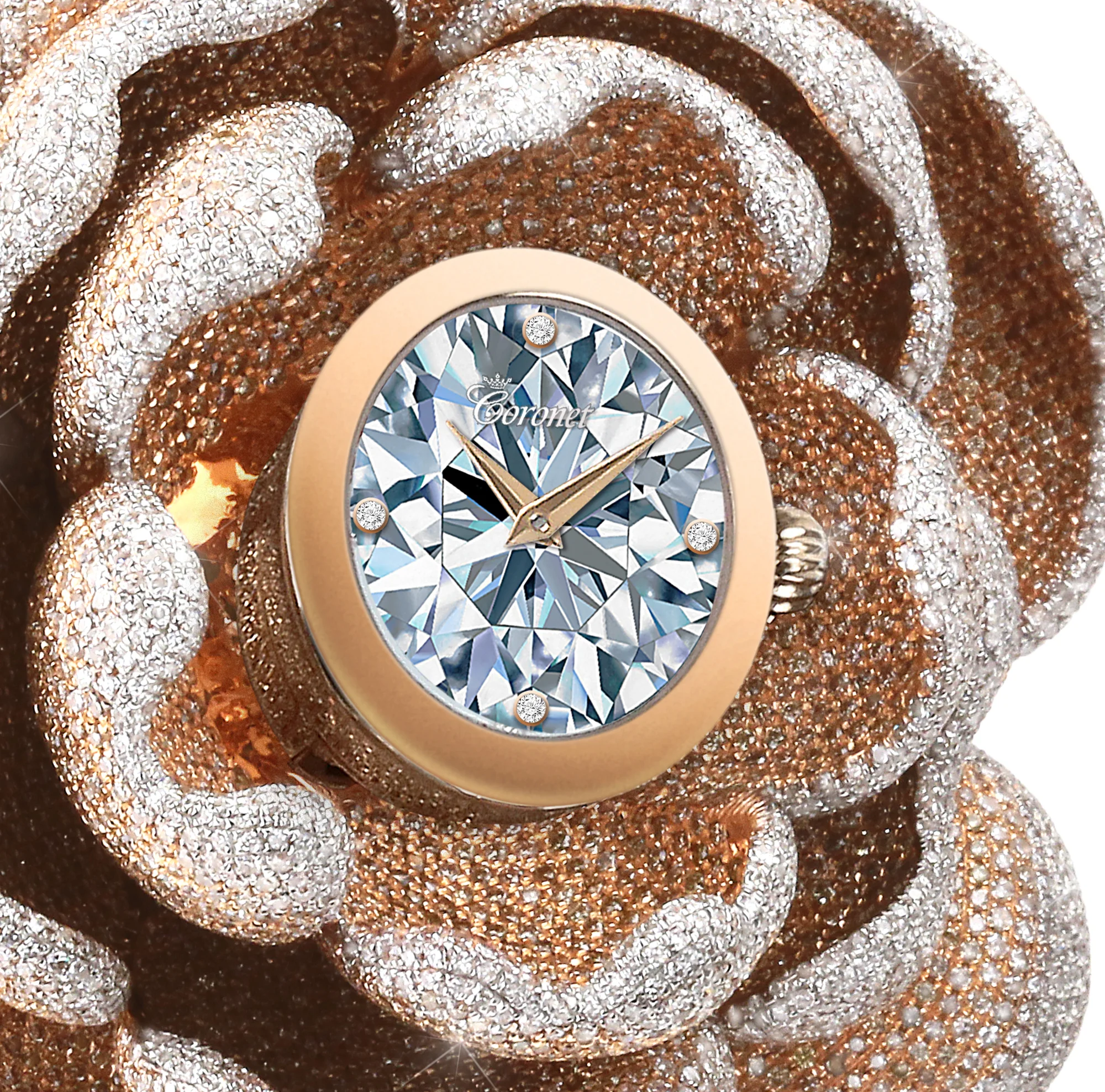 Detail. The Guinness World Records CORONET 'Mudan' diamond watch features 15,858 diamonds - most diamonds set in a watch. The watch is set in 18K gold with artist Reena Ahluwalia's unmatchable diamond painting on the dial.