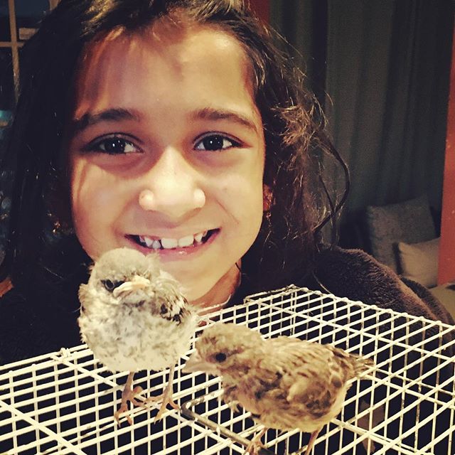 The #child who has felt a strong #love for her surroundings and for all #livingcreatures, gives us reason to hope that #humanity can develop in a #newdirection 🙏🏽 #orphan #babybird 💕 #bekind #Montessori #plano #frisco #whitedovemontessori  age 3-6