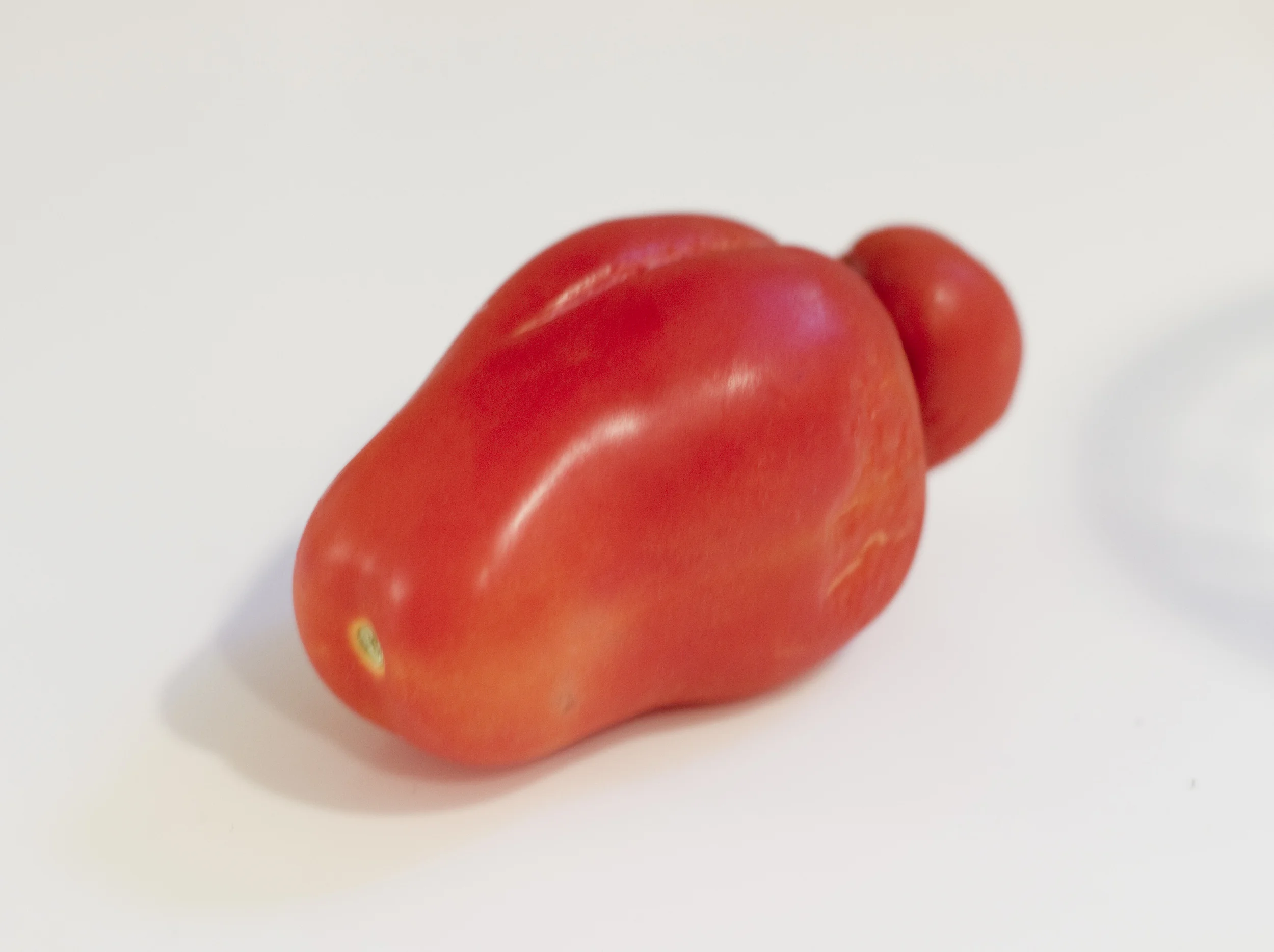 WeirdTomato_CC1.jpg