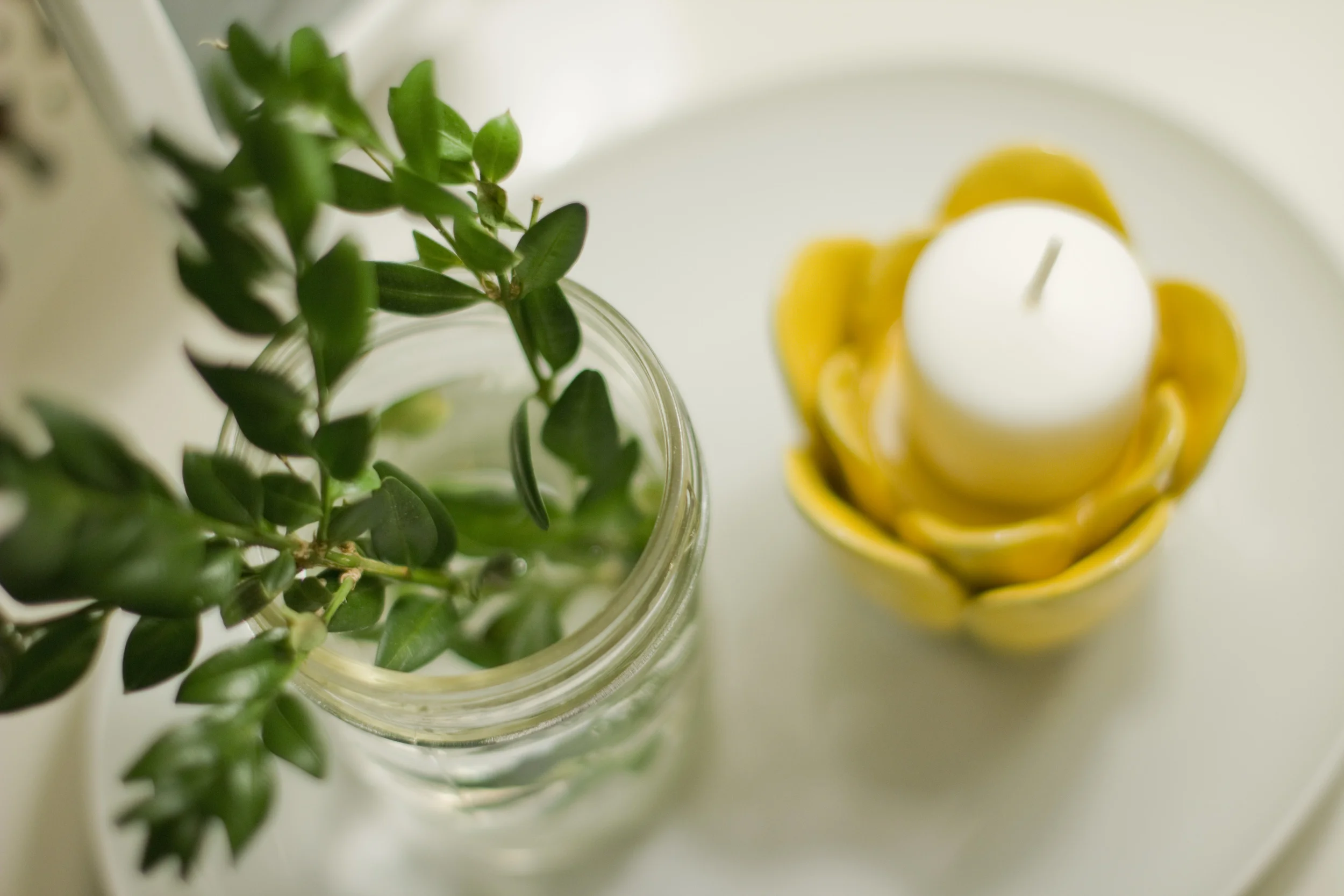 plant&candle020314CC.jpg